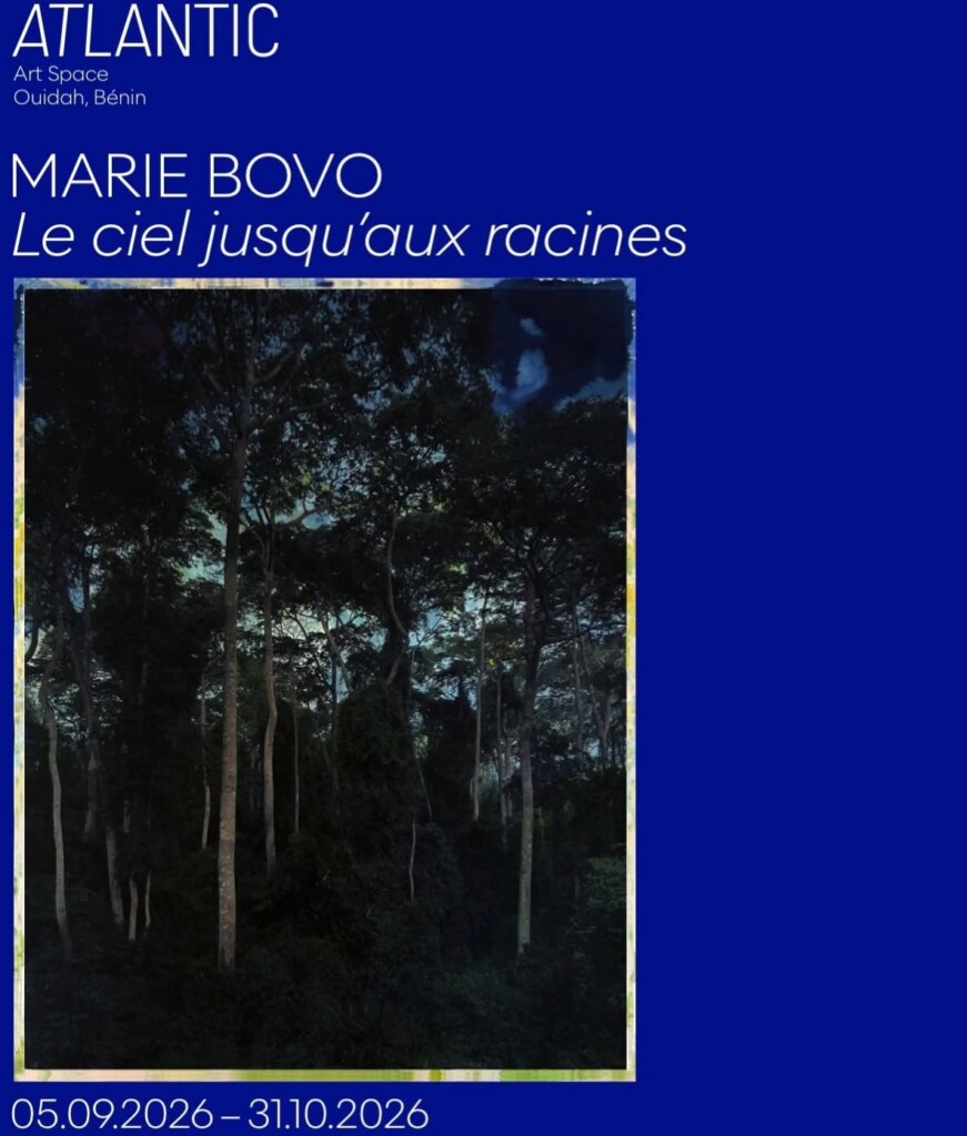 Le ciel jusqu'aux racines